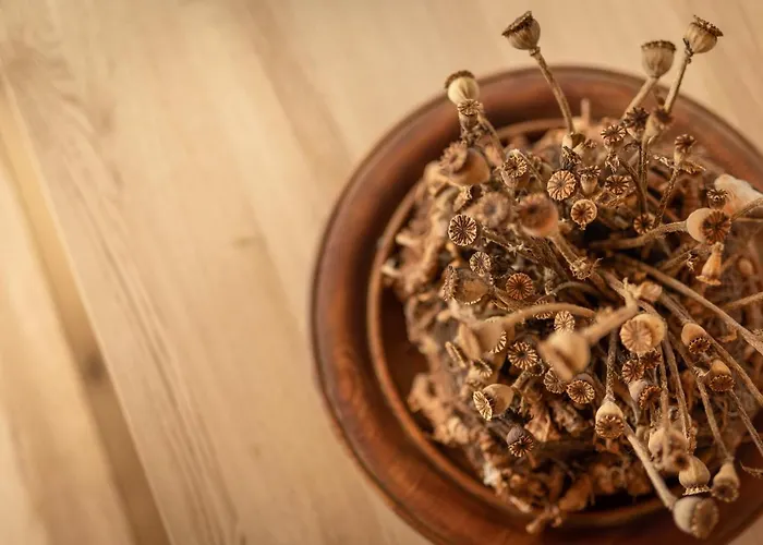 Gulla - Bed & Breakfast