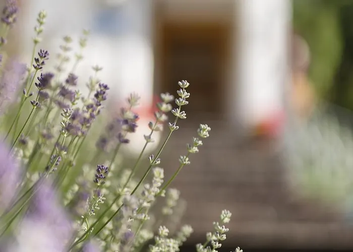 Gulla - Bed & Breakfast Neustift im Stubaital